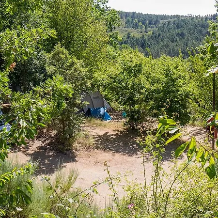 Domek alpejski Cepo Gondesende