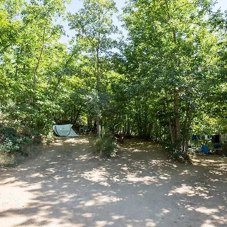 Cepo Verde * Gondesende