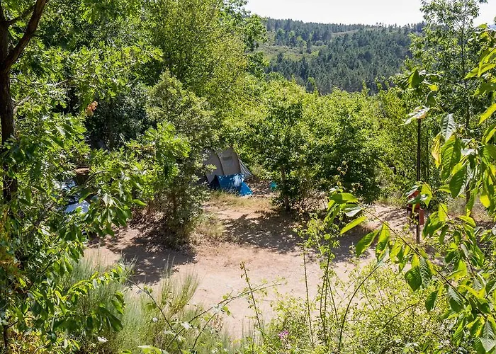 Chalet Cepo Gondesende